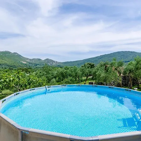 Wine & Vino Holiday
