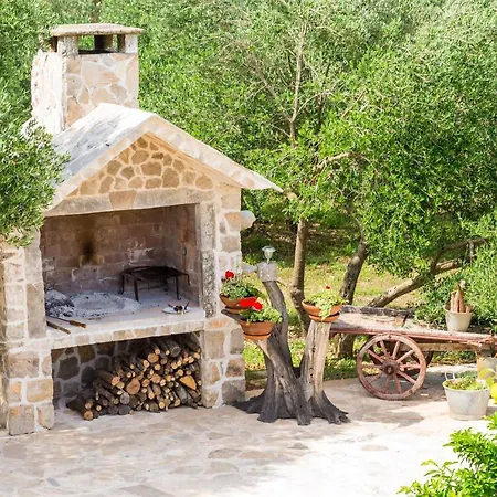 Wine & Vino Holiday Ston