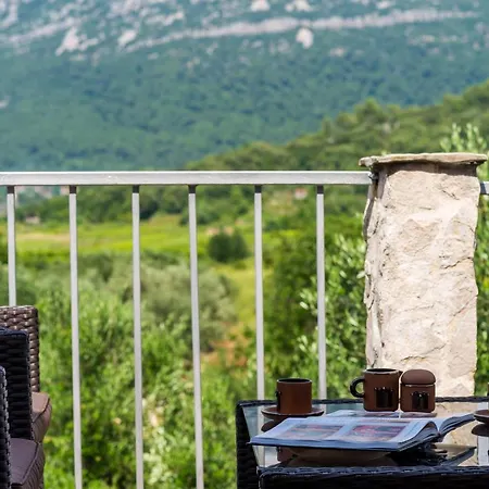 Wine & Vino Holiday *